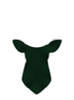 Antlerless Deer