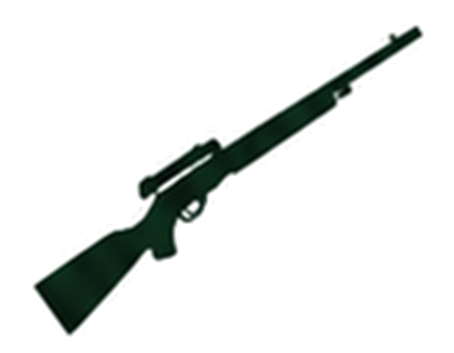 Firearm Kills